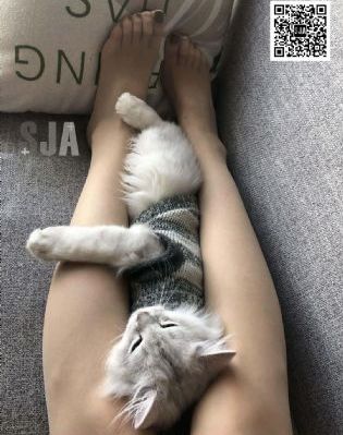 14又嫩又紧水又多-自制全集免费播放